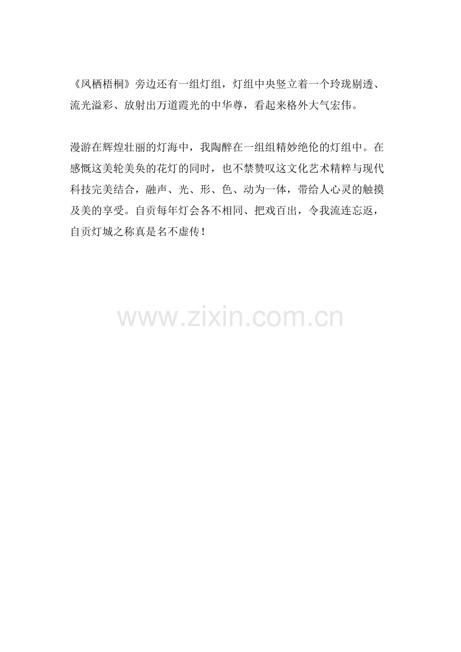 美哉自贡灯会写景作文.doc_第2页