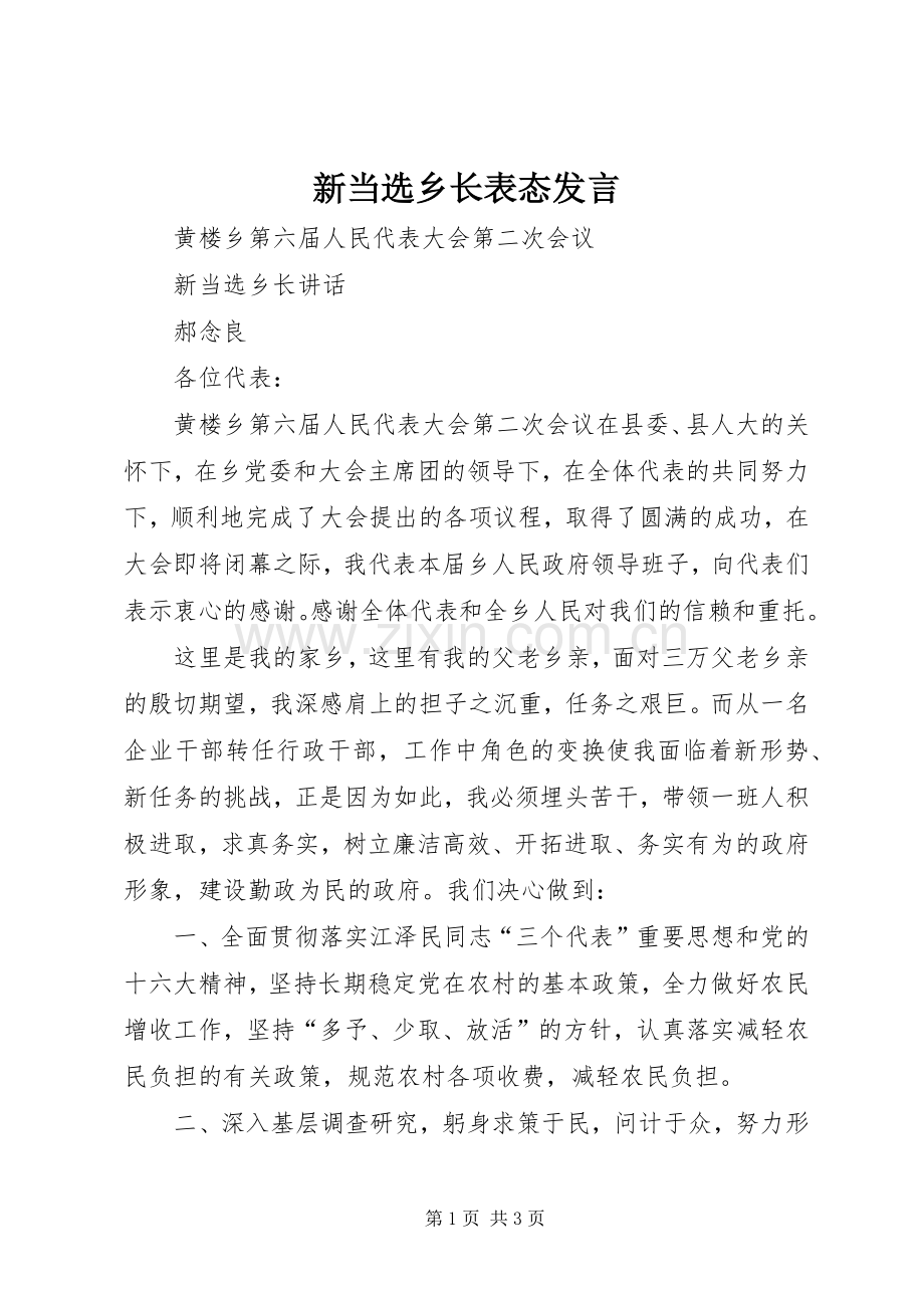 新当选乡长表态发言稿 (3).docx_第1页
