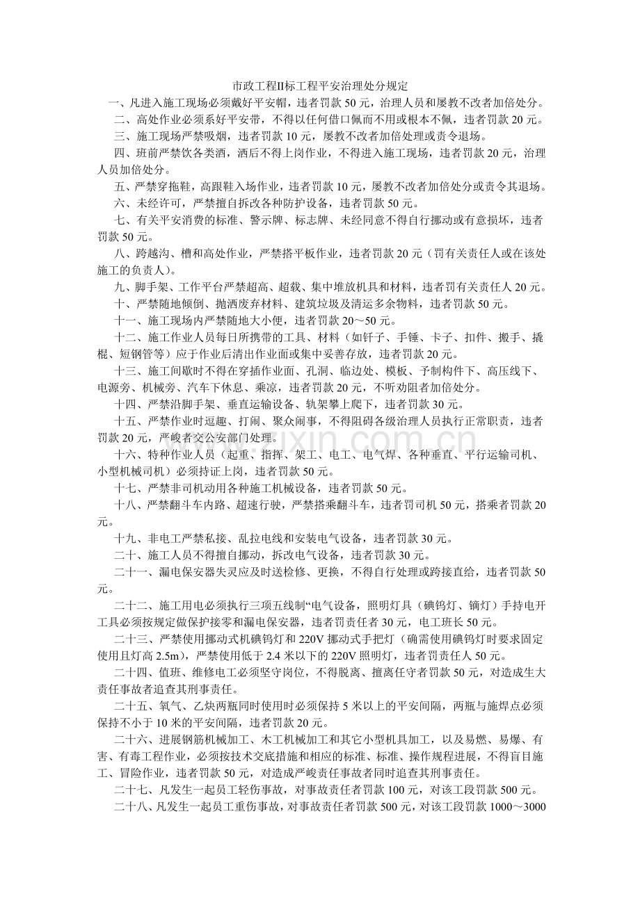 市政工ۥ程Ⅱ标项目安全管理处罚规定.doc_第1页