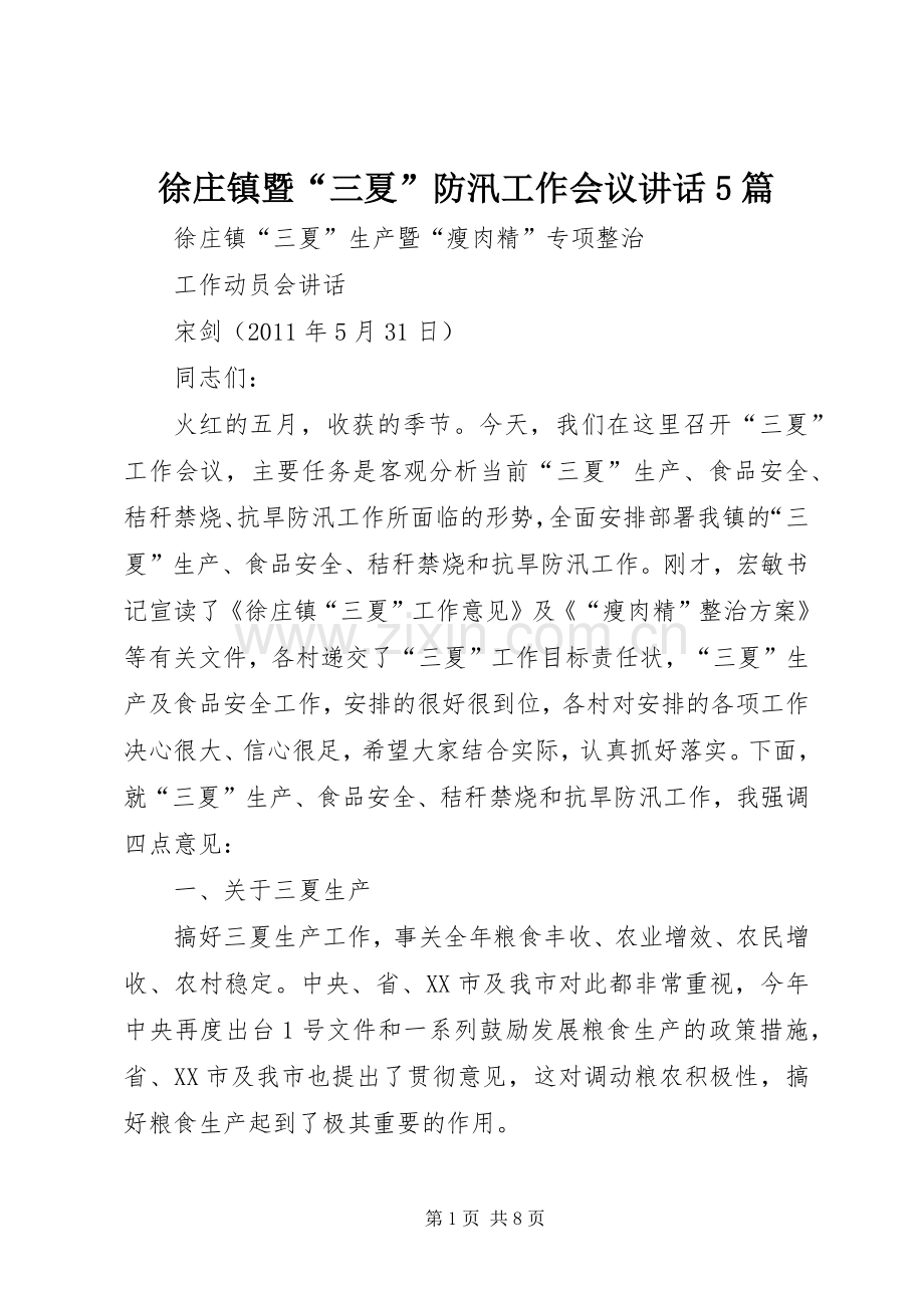 徐庄镇暨“三夏”防汛工作会议讲话5篇.docx_第1页