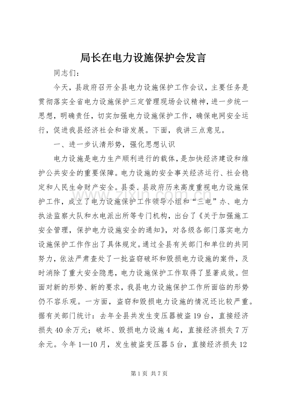 局长在电力设施保护会发言稿.docx_第1页