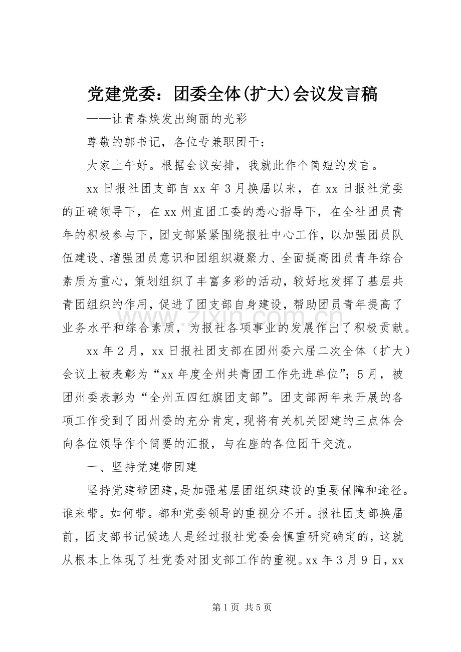 党建党委：团委全体(扩大)会议发言.docx_第1页