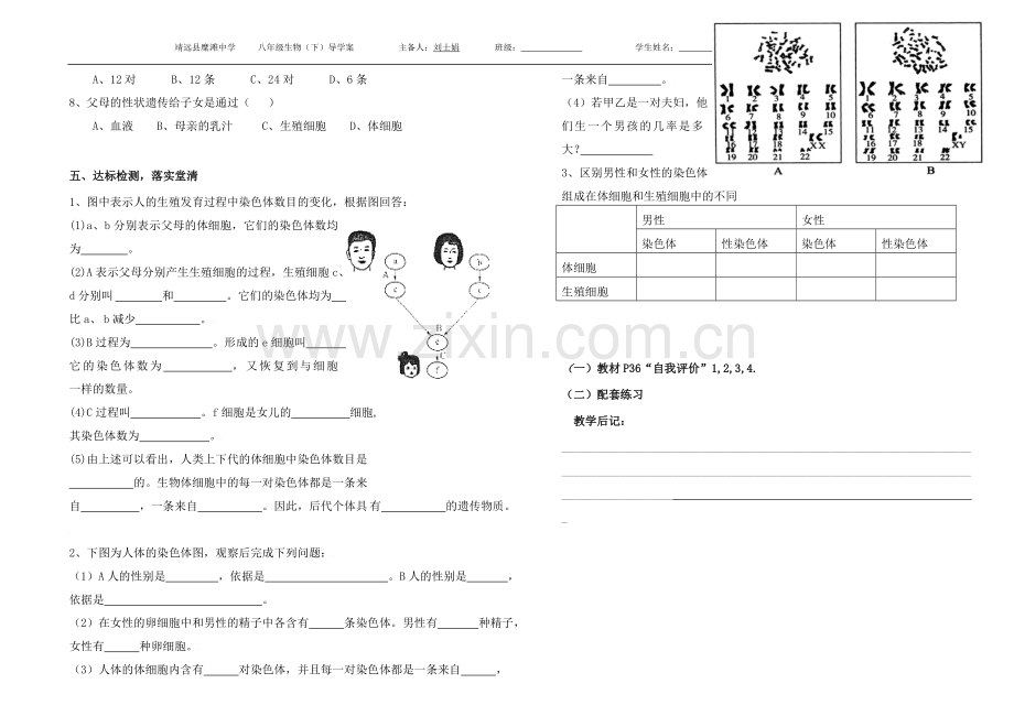 人的性别决定导学案.doc_第2页