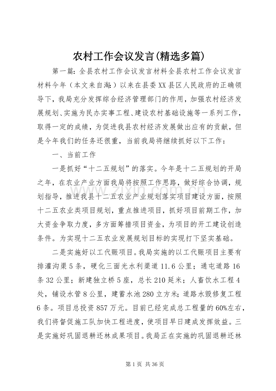 农村工作会议发言稿(多篇).docx_第1页