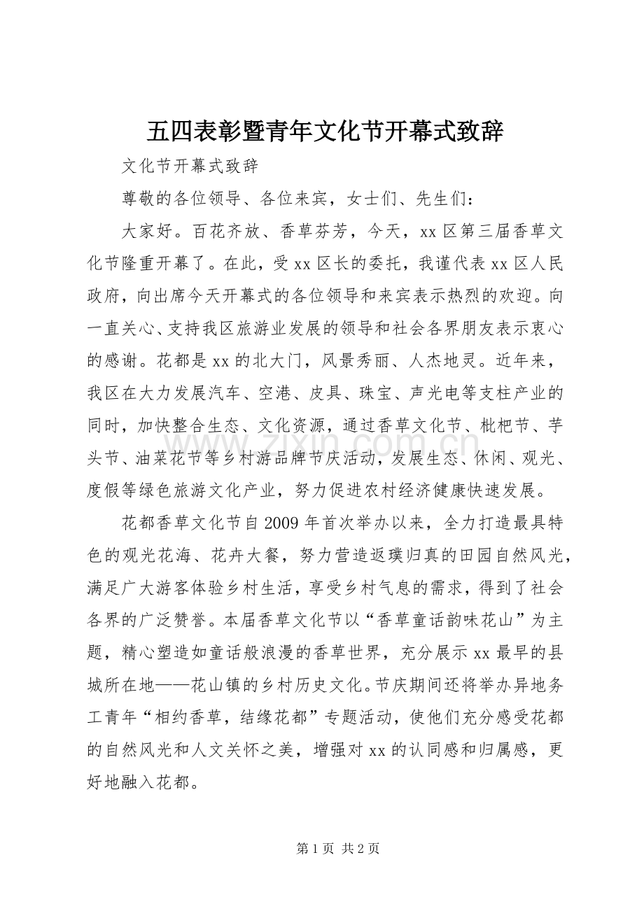 五四表彰暨青年文化节开幕式致辞演讲范文.docx_第1页
