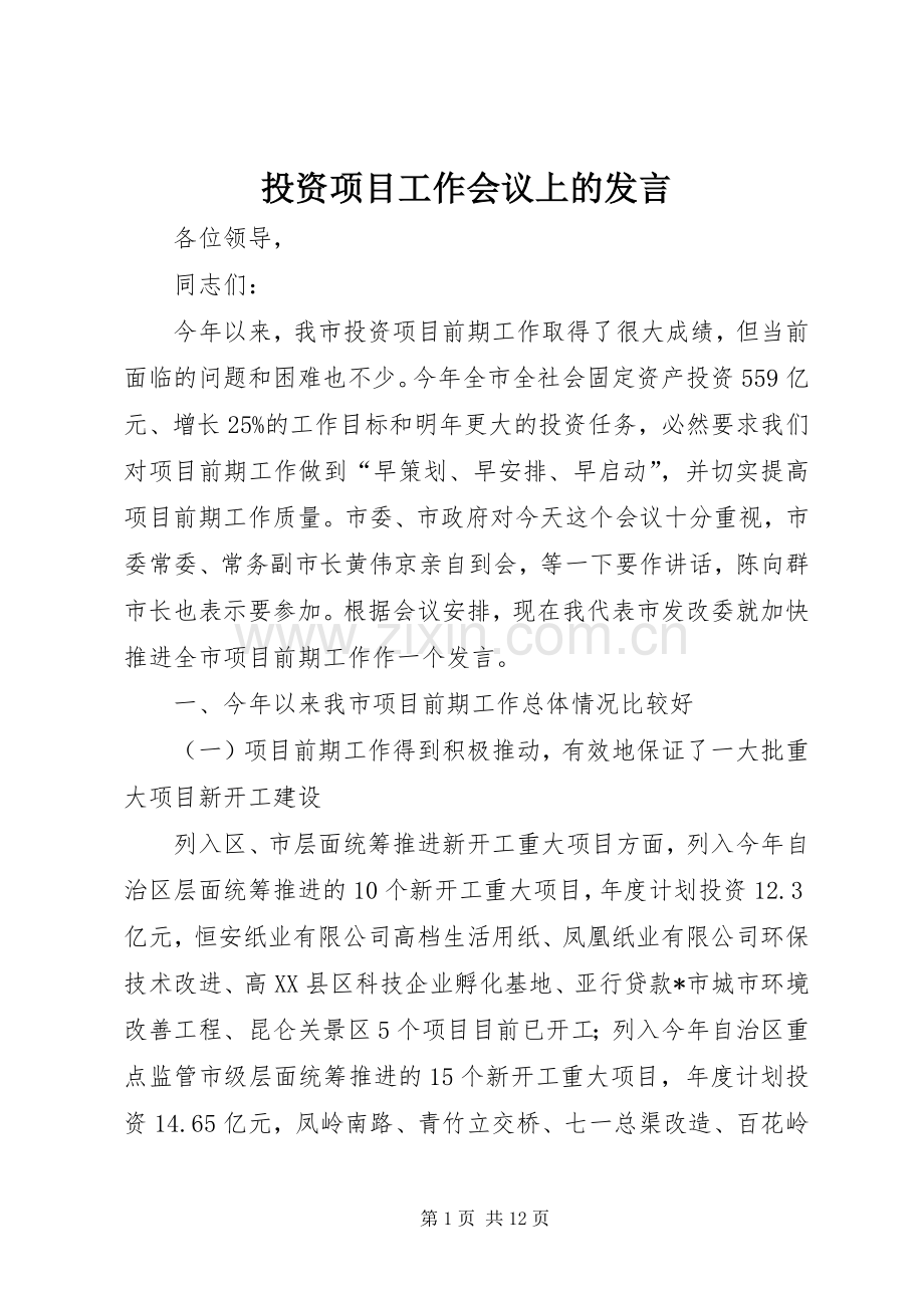 投资项目工作会议上的发言稿.docx_第1页