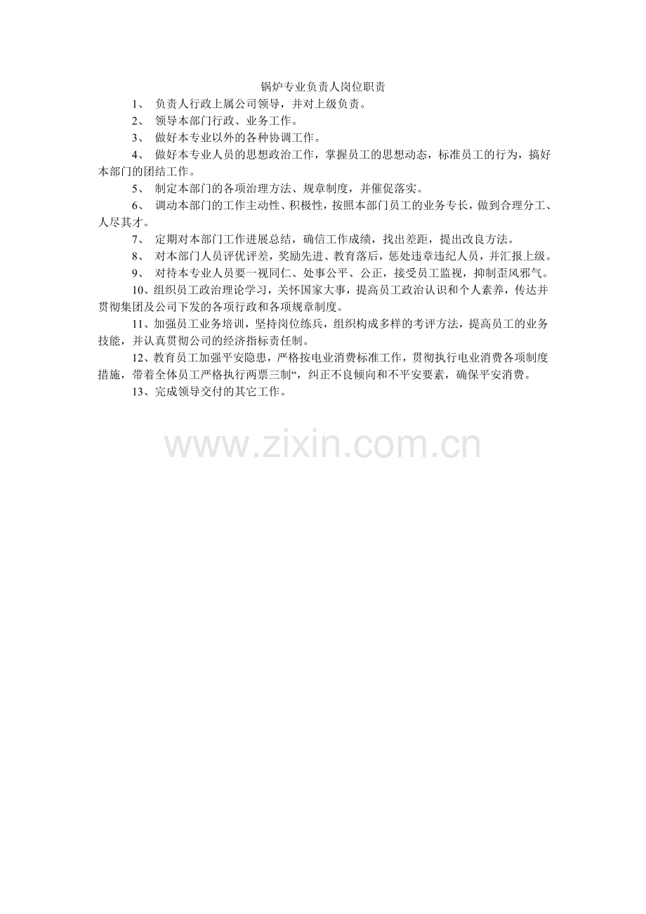 锅炉专业负责人岗位职责.doc_第1页