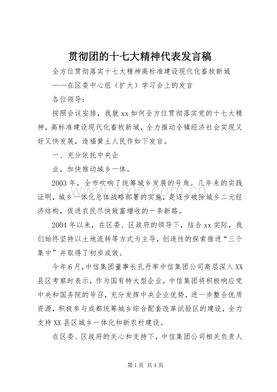 贯彻团的十七大精神代表发言稿范文.docx_第1页