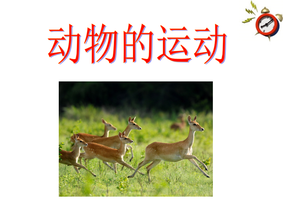 七年级生物上册 第二节动物的运动课件 济南版 课件.ppt_第1页