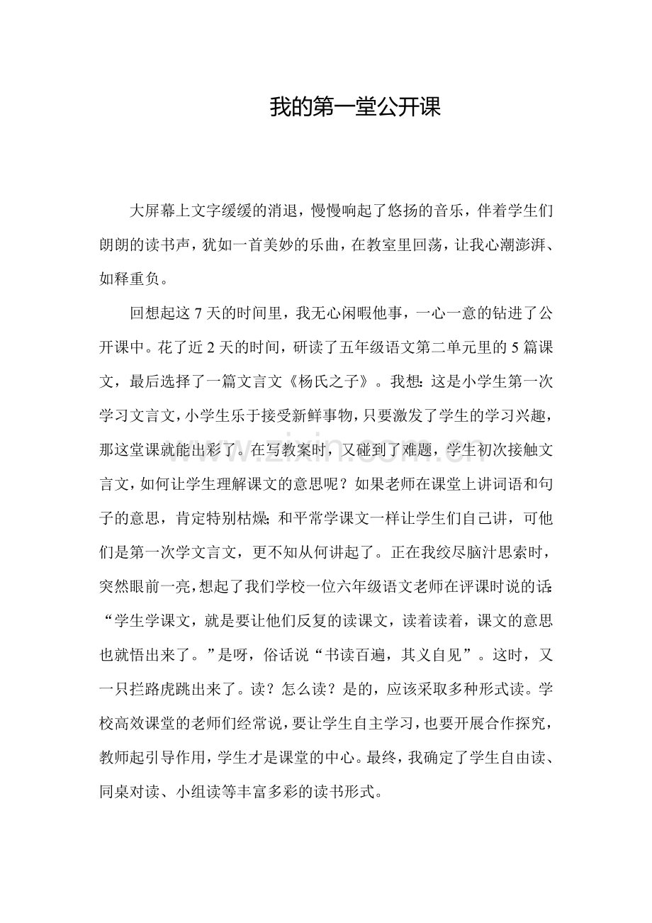 我的第一堂公开课.doc_第1页