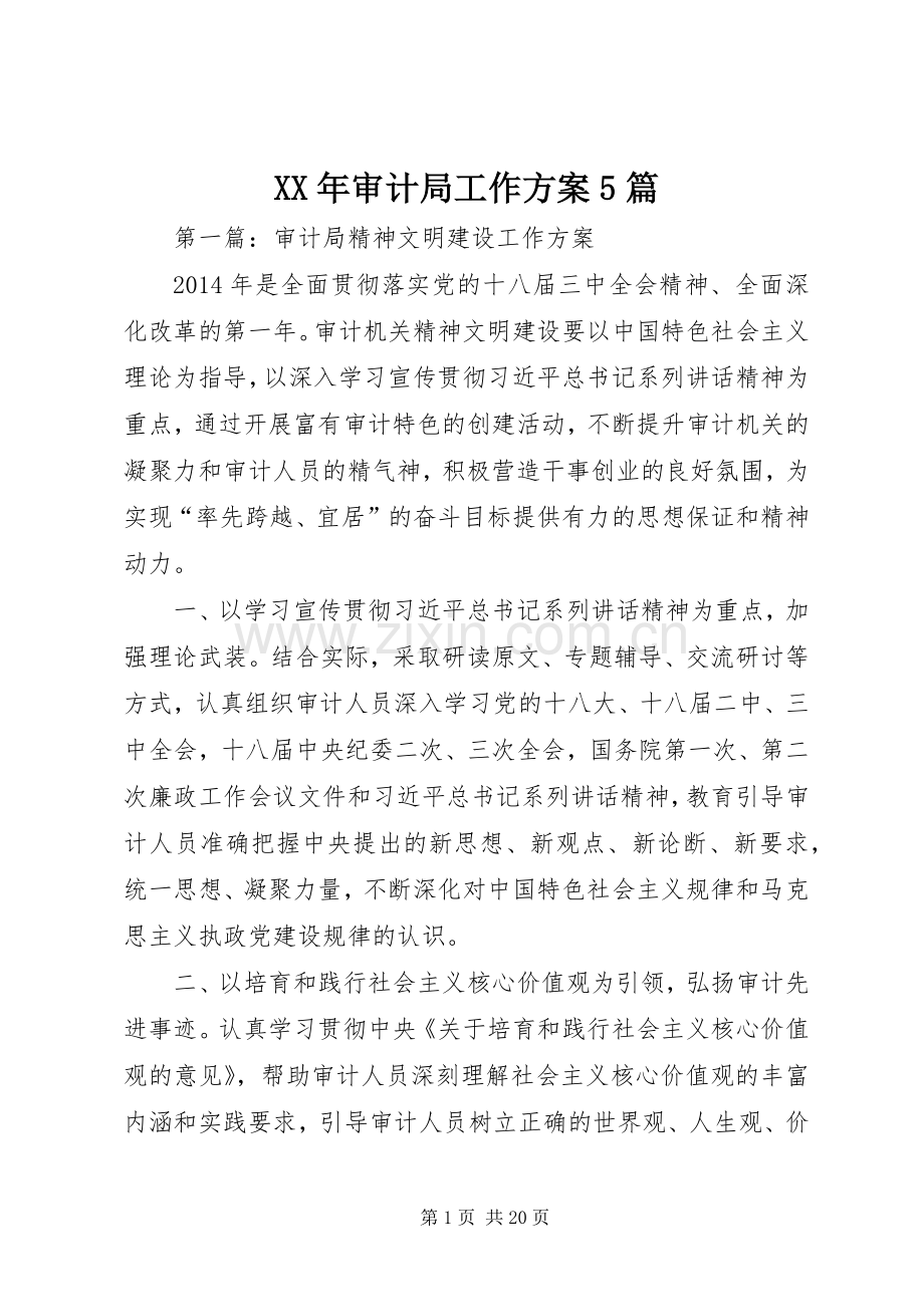 XX年审计局工作实施方案5篇.docx_第1页