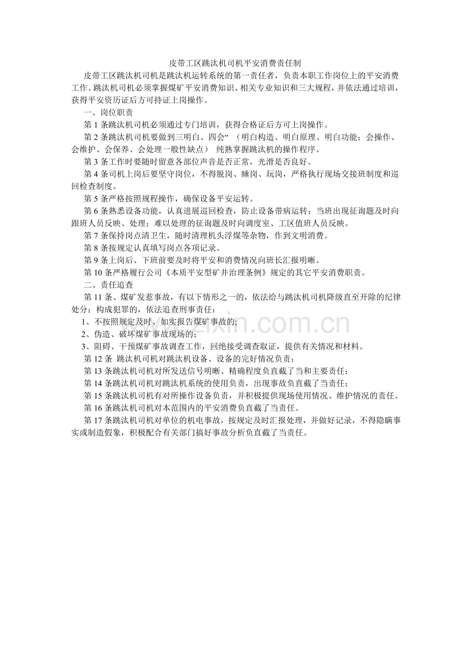 皮带工区跳汰机司机安全生产责任制.doc_第1页