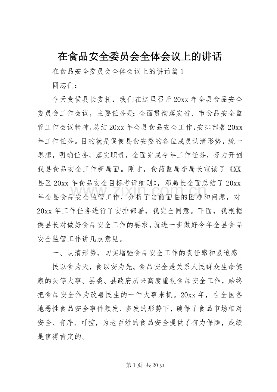 在食品安全委员会全体会议上的讲话.docx_第1页