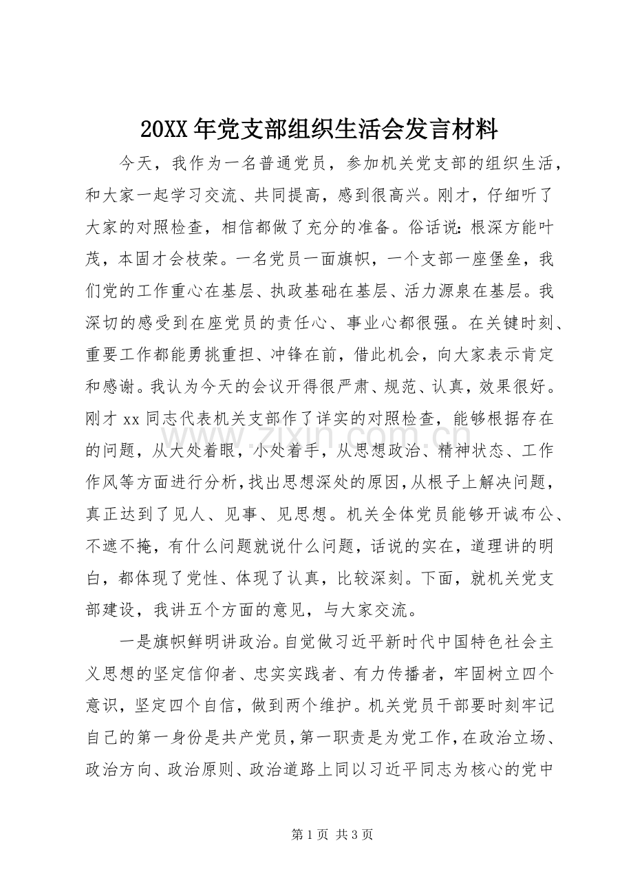 20XX年党支部组织生活会发言材料致辞.docx_第1页