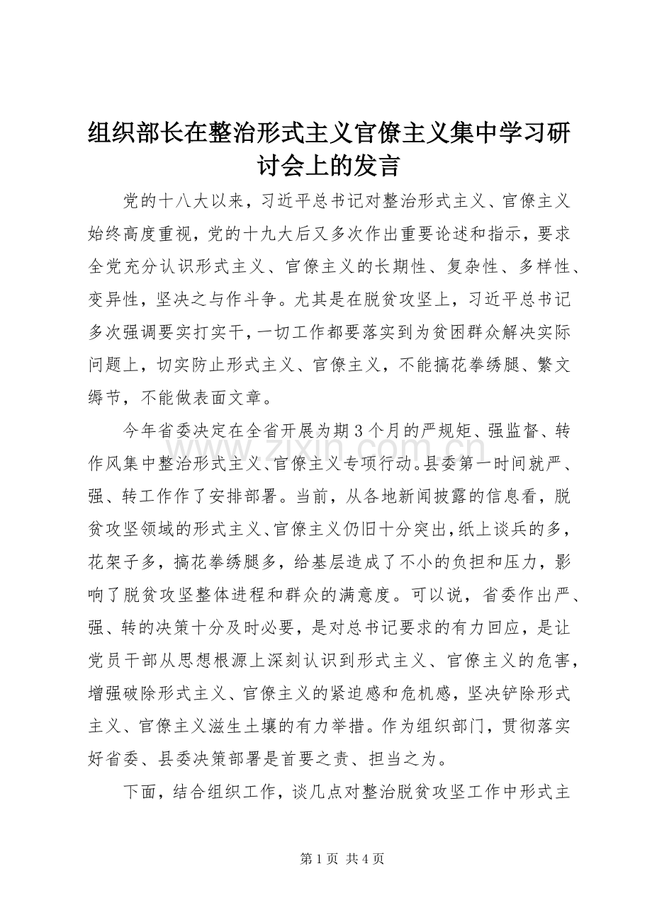 组织部长在整治形式主义官僚主义集中学习研讨会上的发言稿 (2).docx_第1页