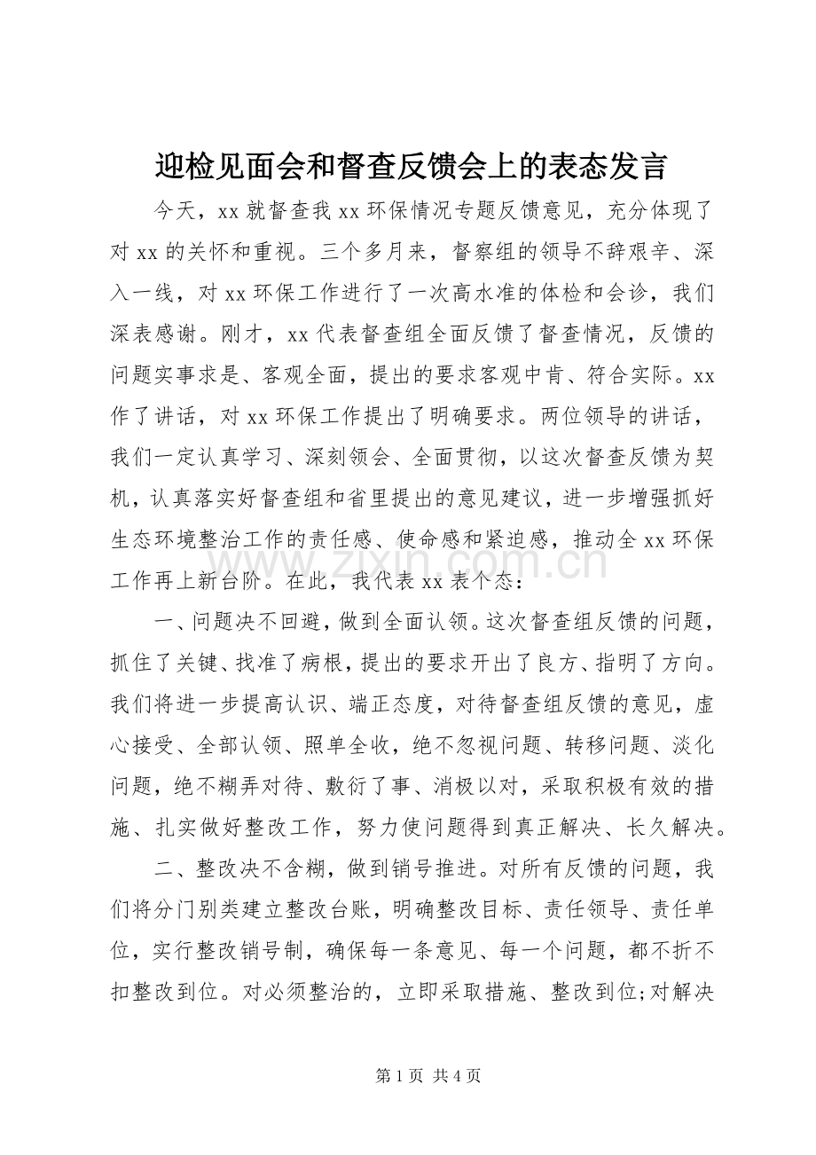 迎检见面会和督查反馈会上的表态发言稿.docx_第1页