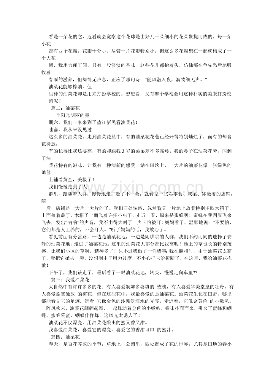 写油菜花的作文.doc_第2页