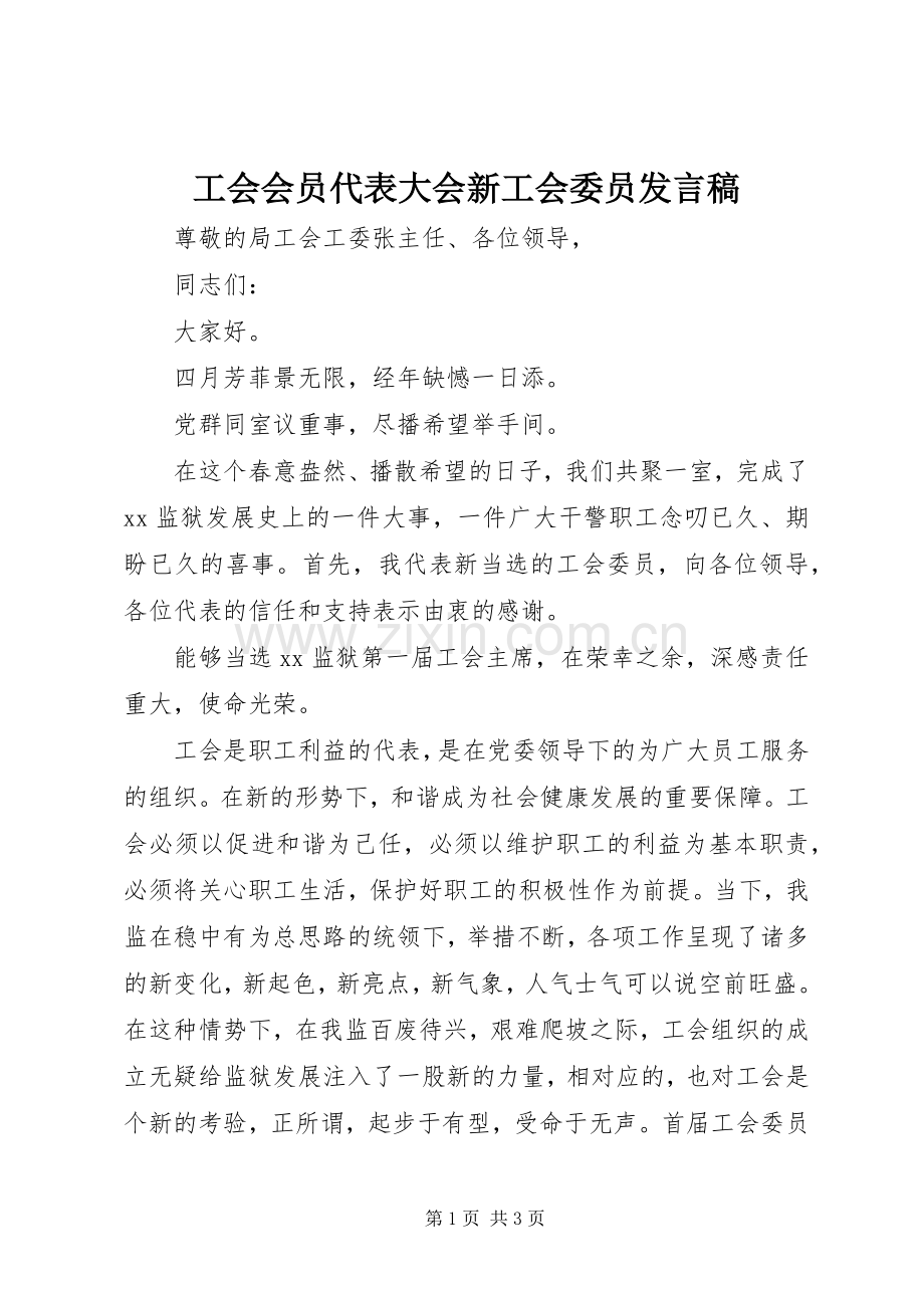工会会员代表大会新工会委员发言.docx_第1页
