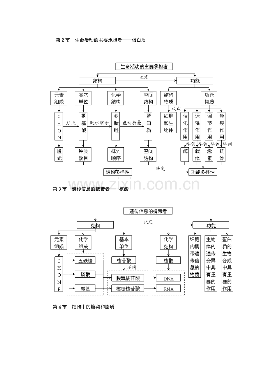 组成细胞的元素和化合物结构图.doc_第2页