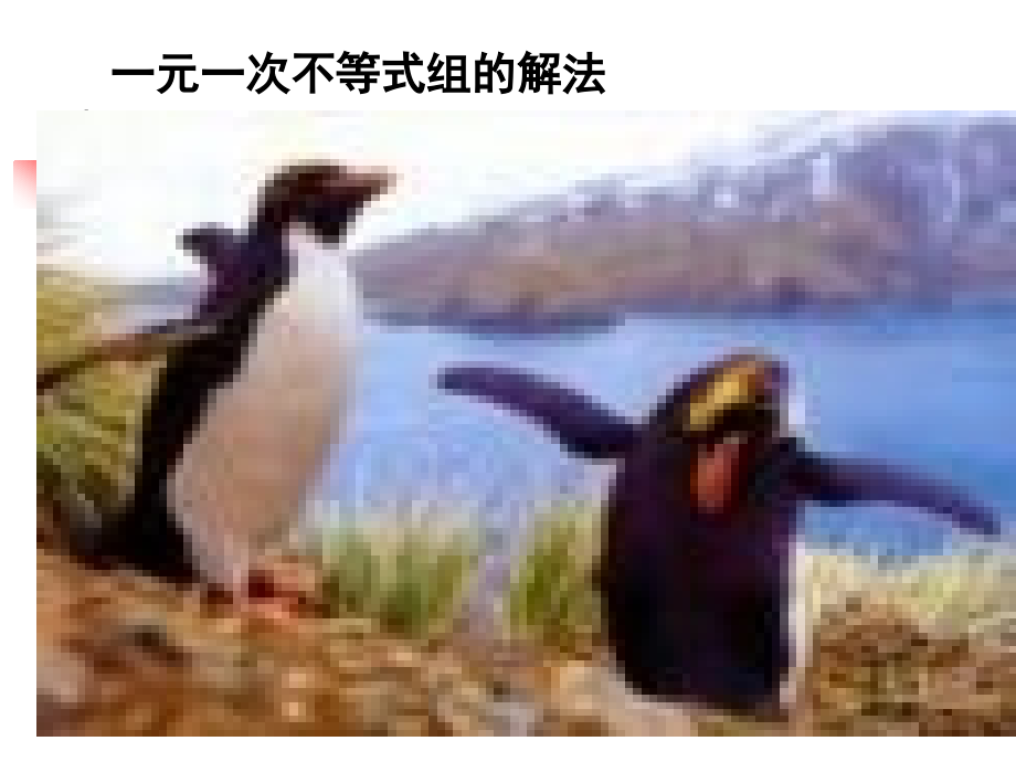 八年级数学 不等式组的解法课件一 八年级数学 不等式组的解法课件[整理两套] 八年级数学 不等式组的解法课件[整理两套].ppt_第1页