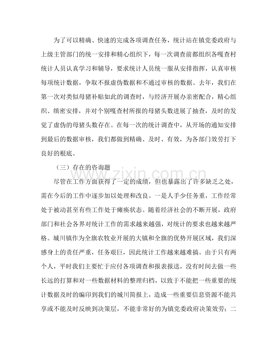 镇2024年统计工作总结暨2024年工作参考计划范文.doc_第2页