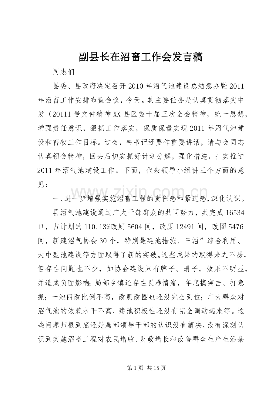 副县长在沼畜工作会发言.docx_第1页