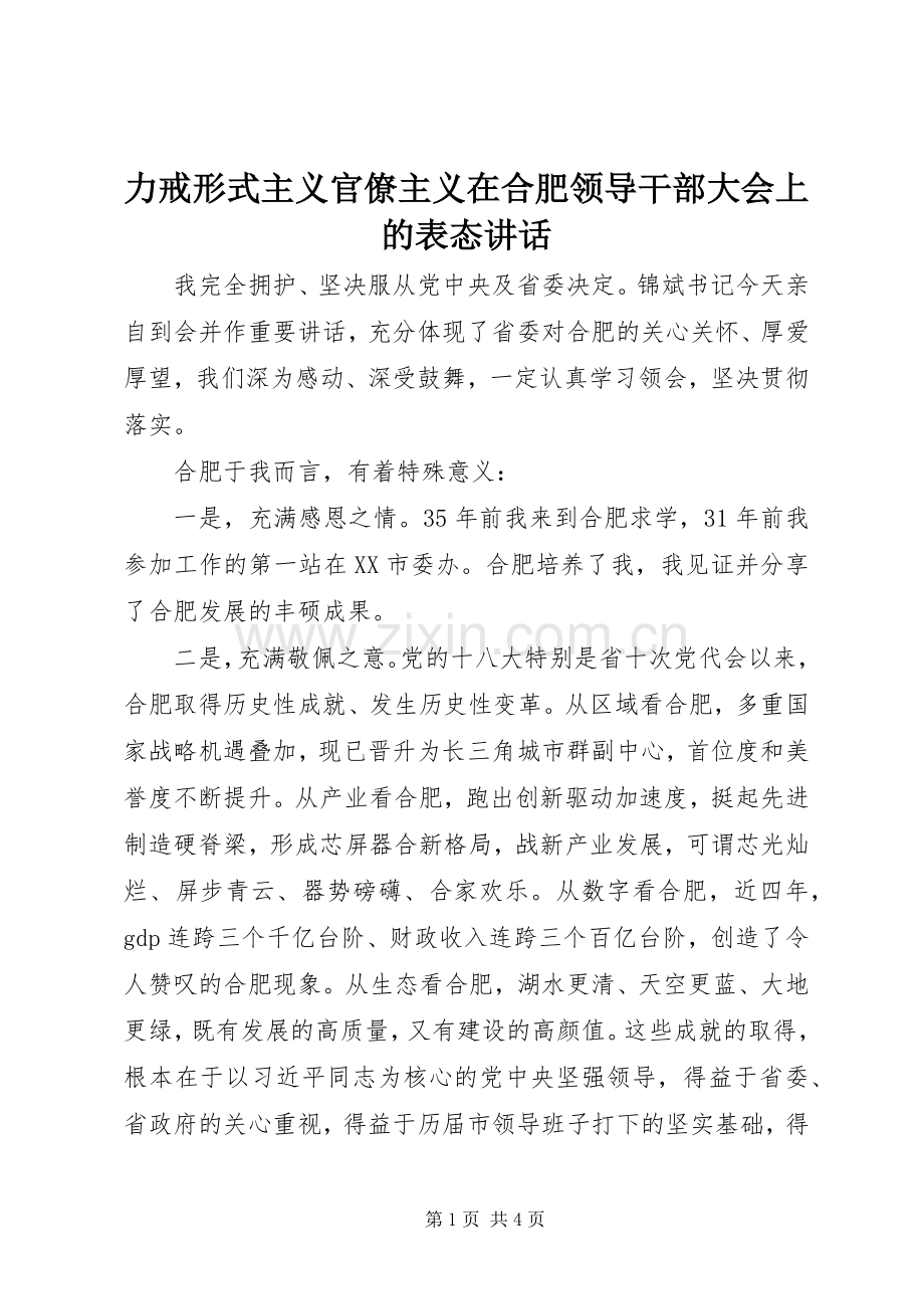 力戒形式主义官僚主义在合肥领导干部大会上的表态讲话.docx_第1页