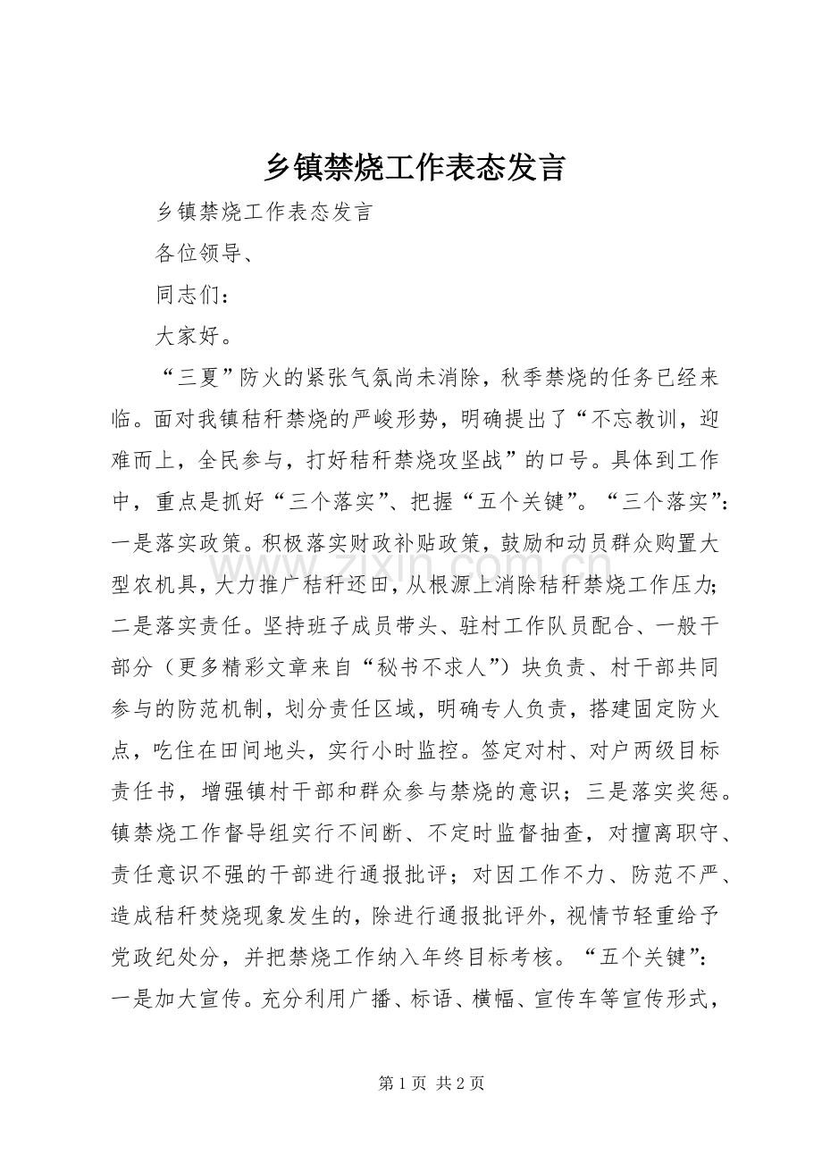 乡镇禁烧工作表态发言稿.docx_第1页