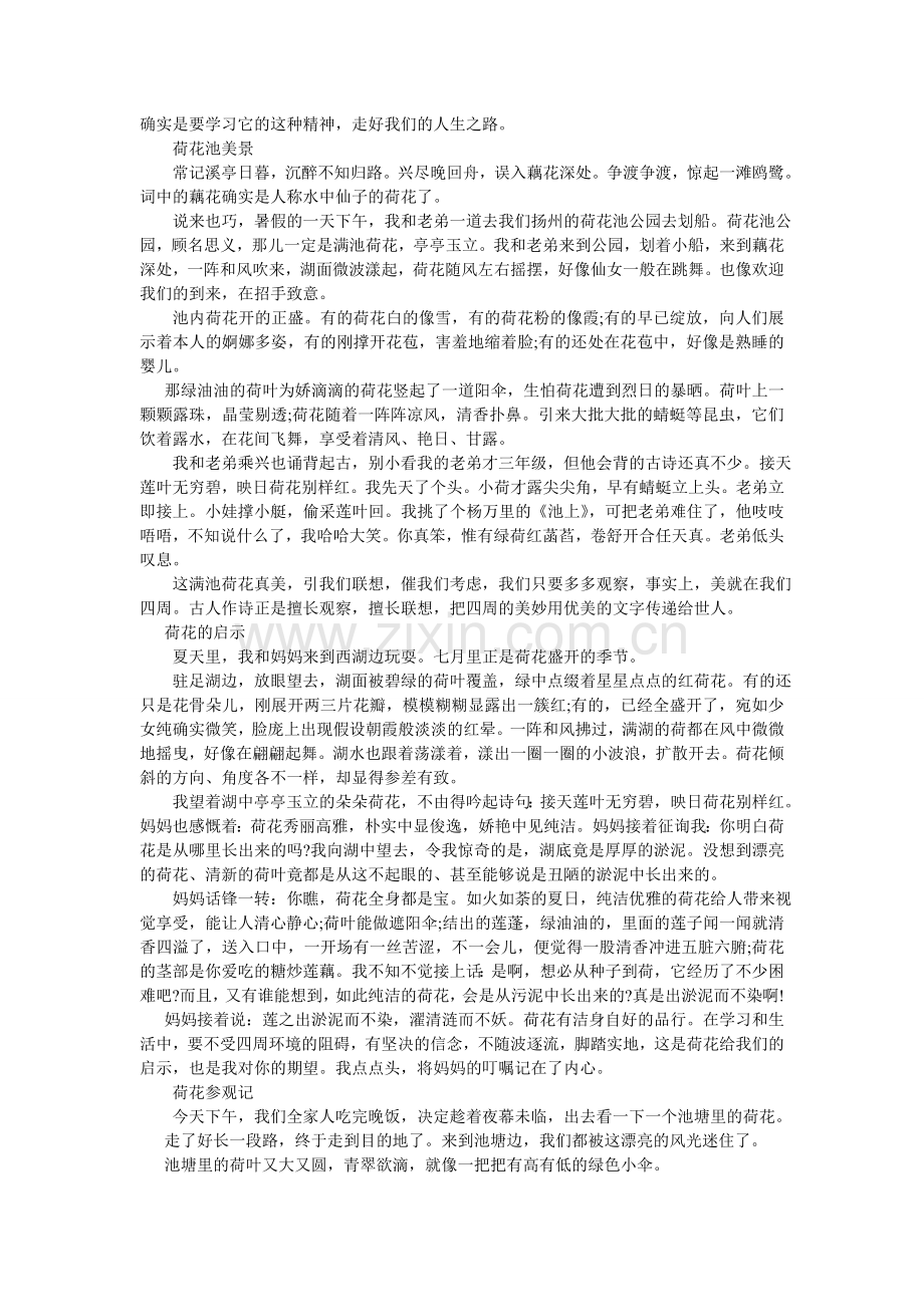 描写荷花的作文800字.doc_第2页