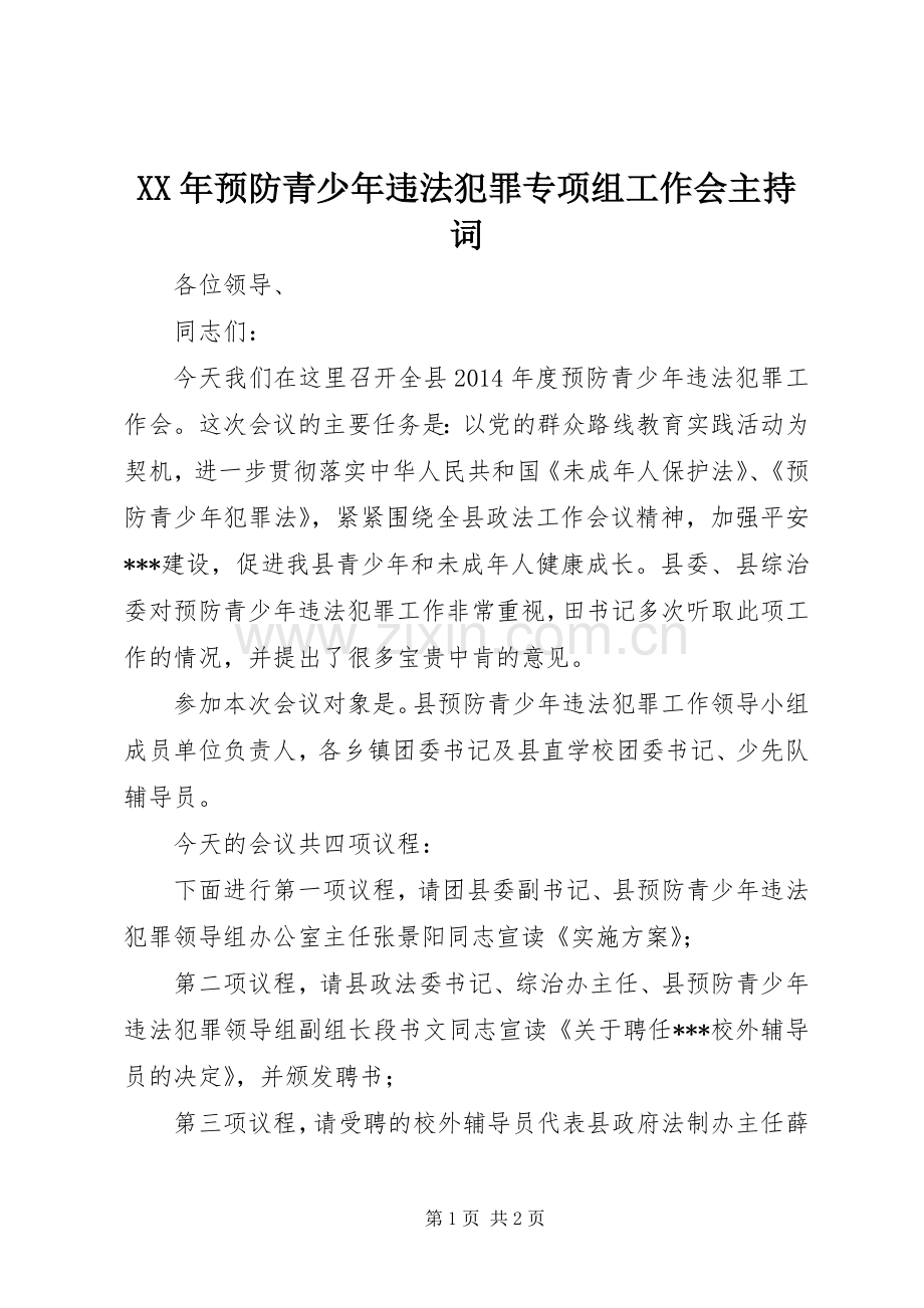 XX年预防青少年违法犯罪专项组工作会主持稿_1.docx_第1页