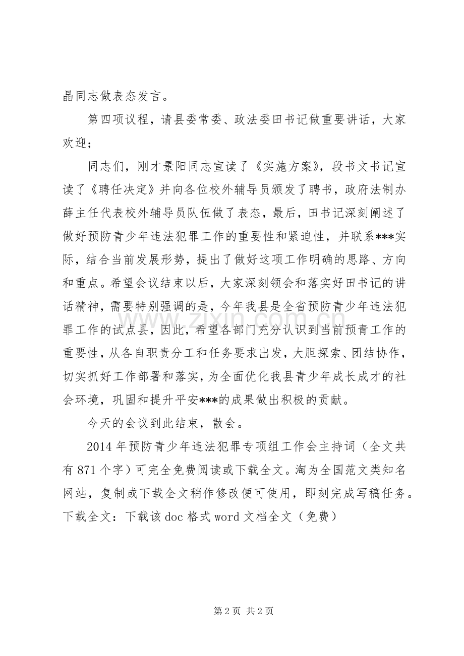 XX年预防青少年违法犯罪专项组工作会主持稿_1.docx_第2页