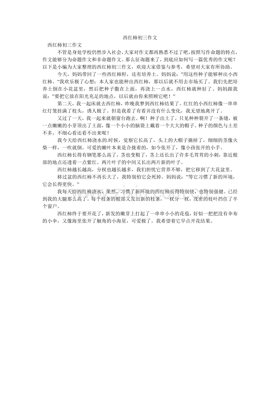 西红柿初三作文.doc_第1页