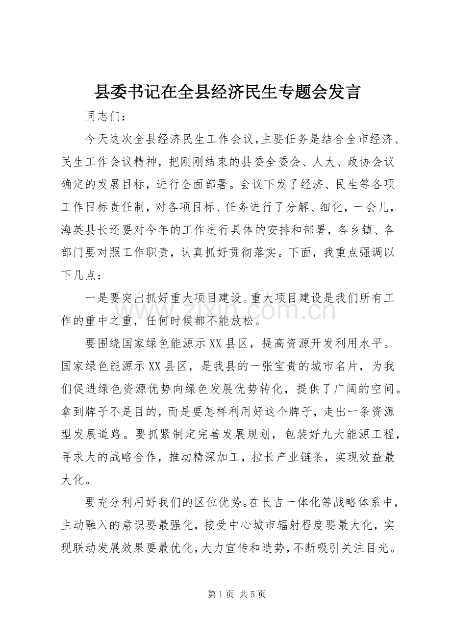 县委书记在全县经济民生专题会发言稿.docx_第1页