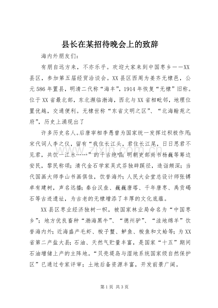 县长在某招待晚会上的致辞演讲范文.docx_第1页