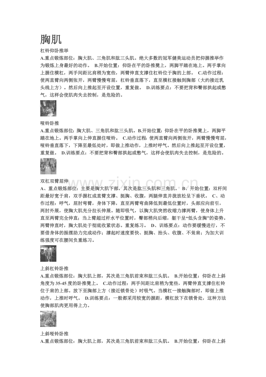 身体肌肉训练.doc_第1页