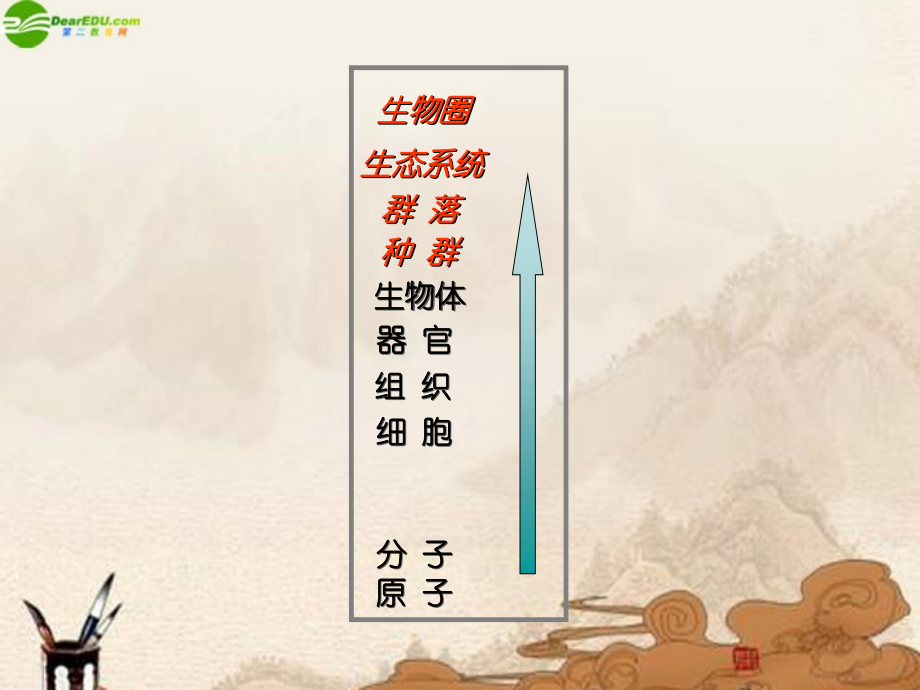 九年级科学下册 种群与生物群落(第一课时)课件 浙教版 课件.ppt_第2页