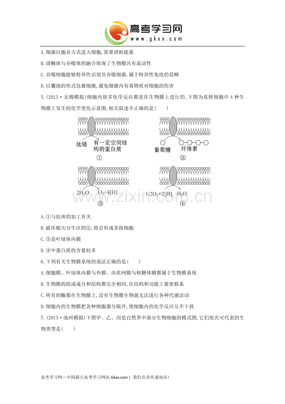 细胞器系统内的分工合作》.doc_第2页