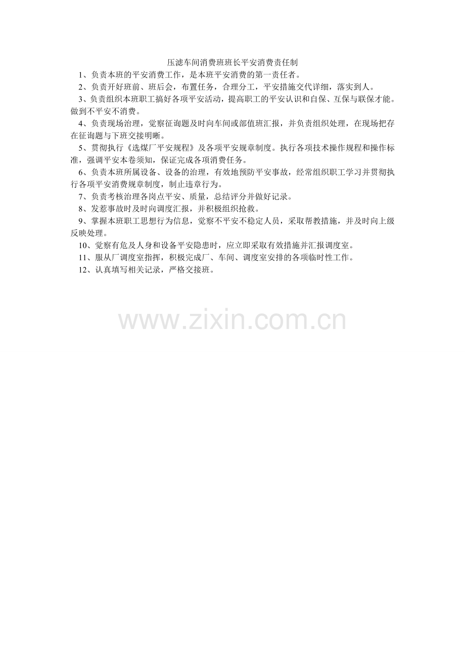 压滤车间生产班班长安全生产责任制.doc_第1页