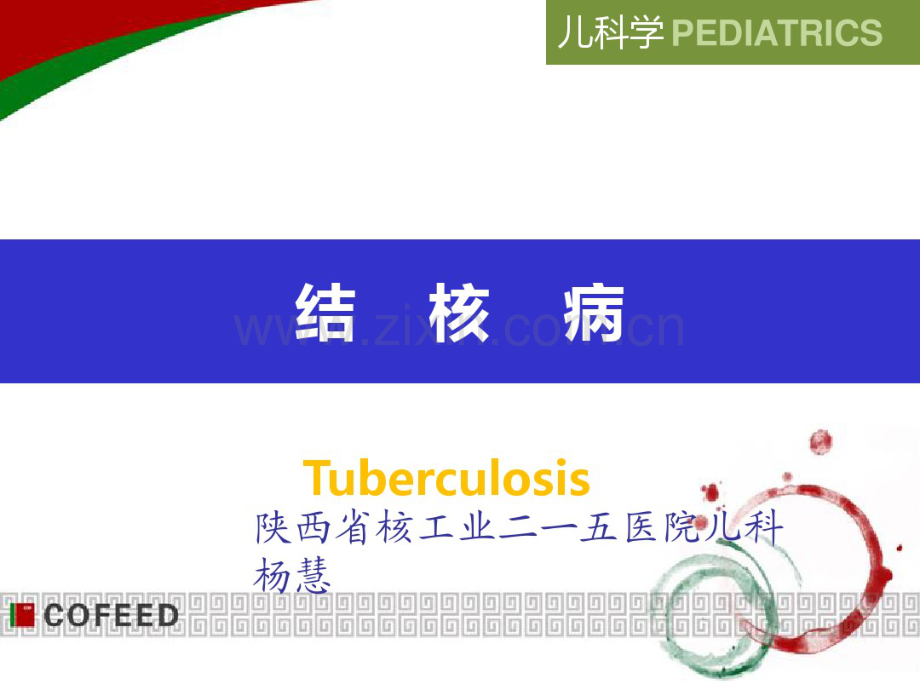结核病(最终.pdf_第1页