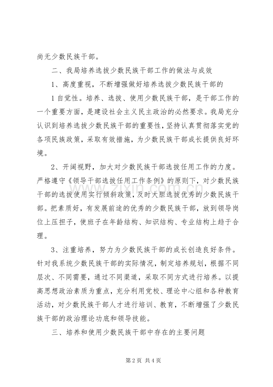 少数民族干部发言.docx_第2页