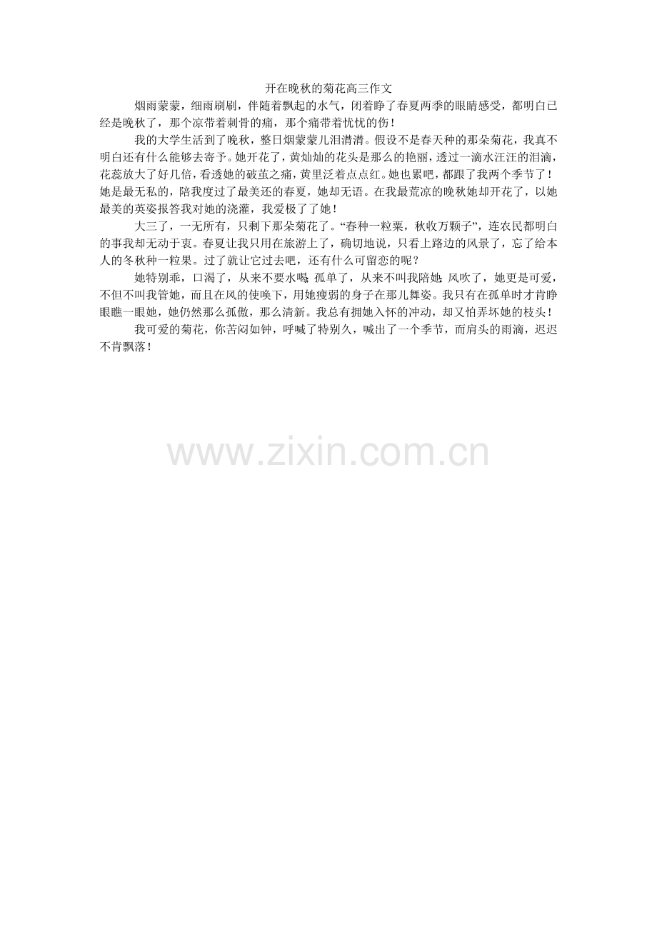 开在晚秋的菊花高三作文.doc_第1页