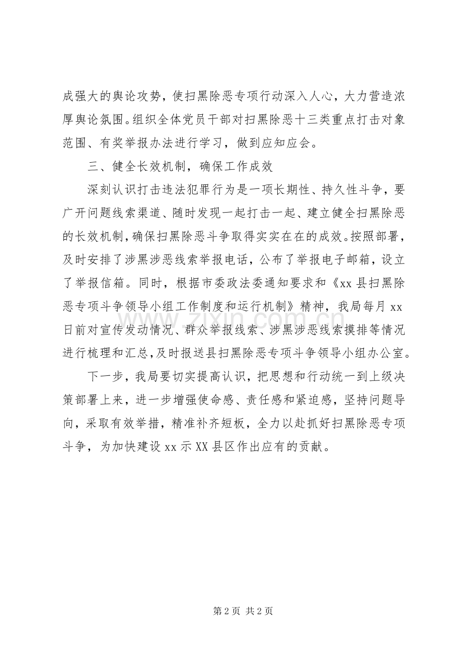 在县扫黑除恶专项斗争领导小组扩大会议发言材料提纲.docx_第2页