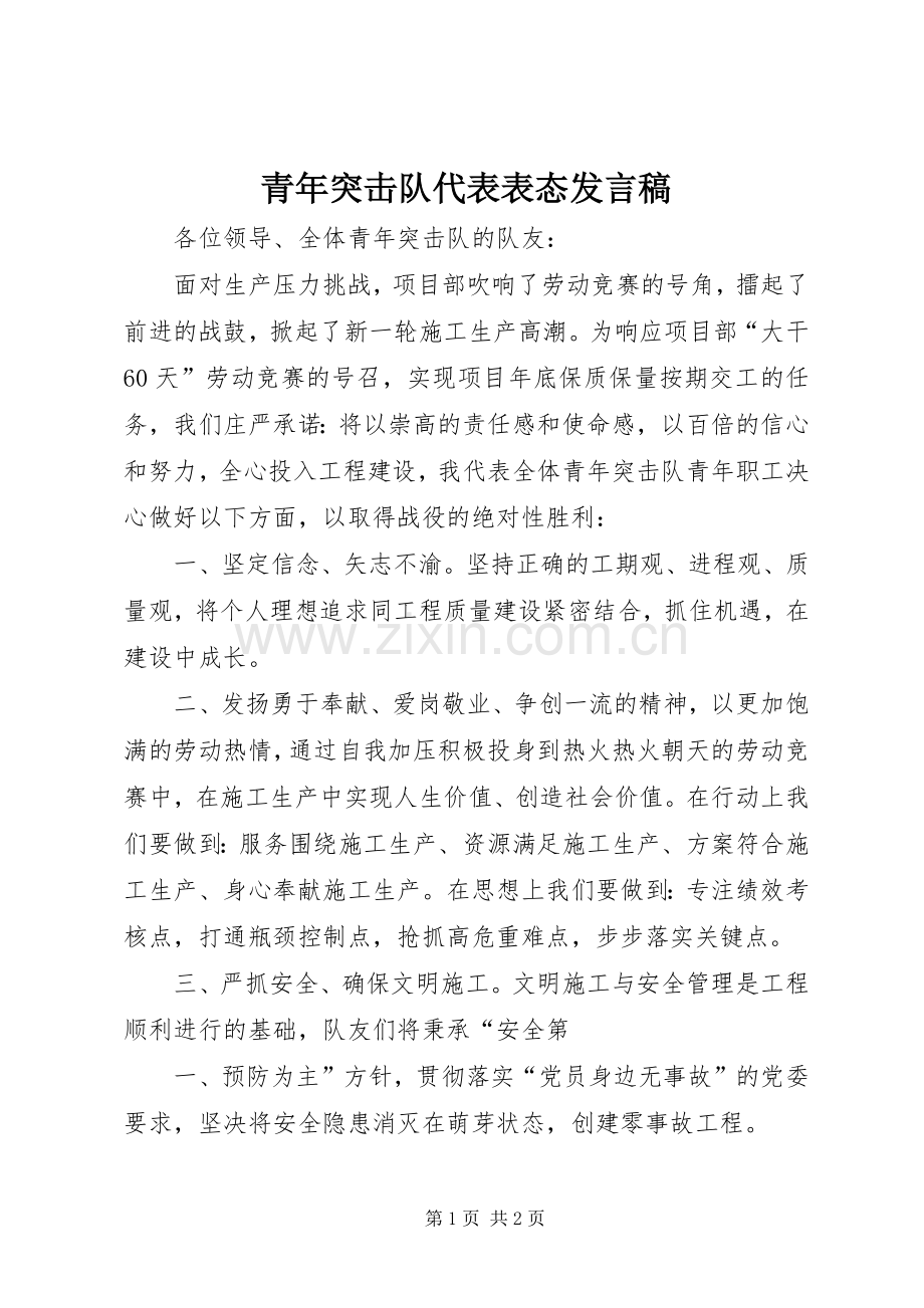 青年突击队代表表态发言稿范文.docx_第1页