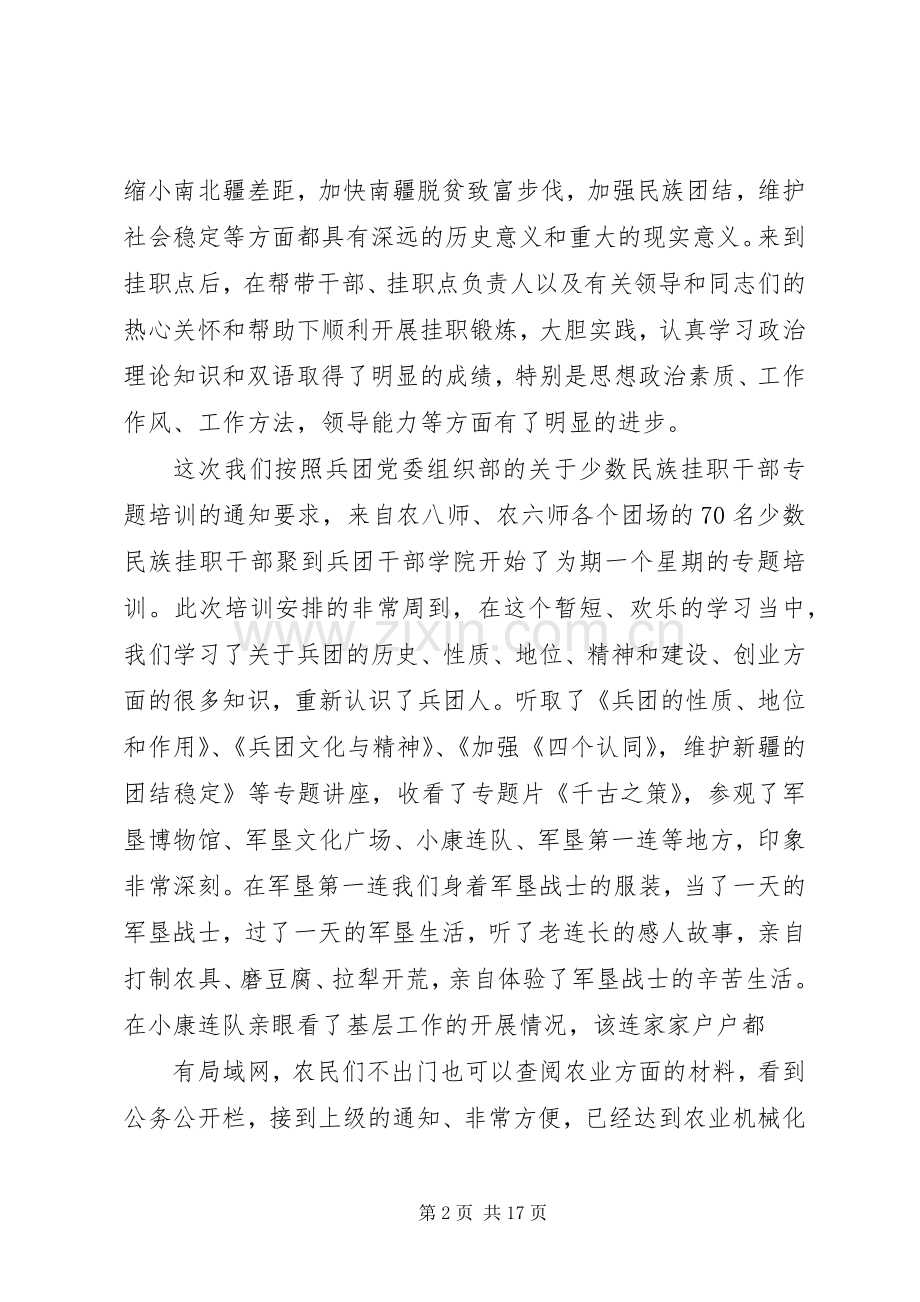 挂职干部专题培训发言稿.docx_第2页
