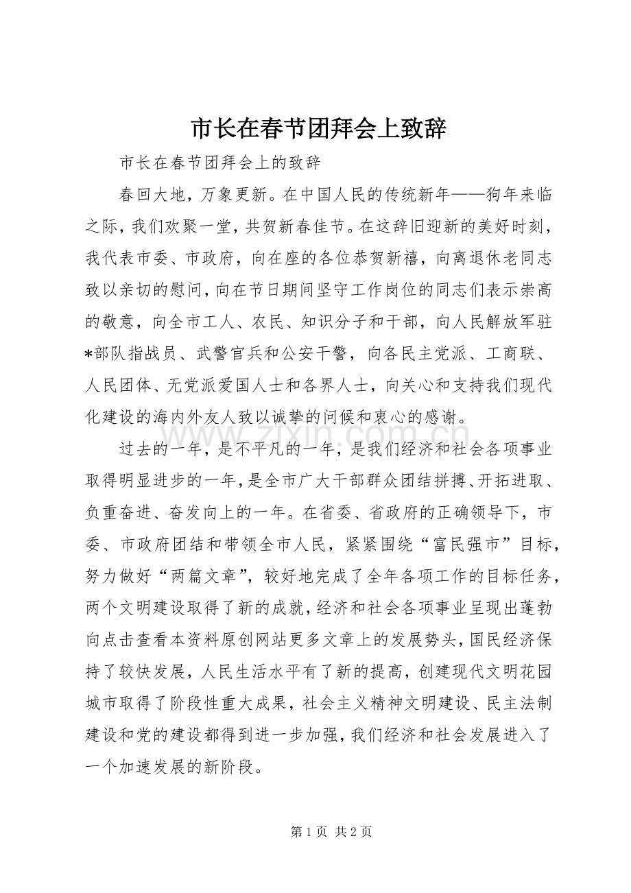 市长在春节团拜会上演讲致辞.docx_第1页