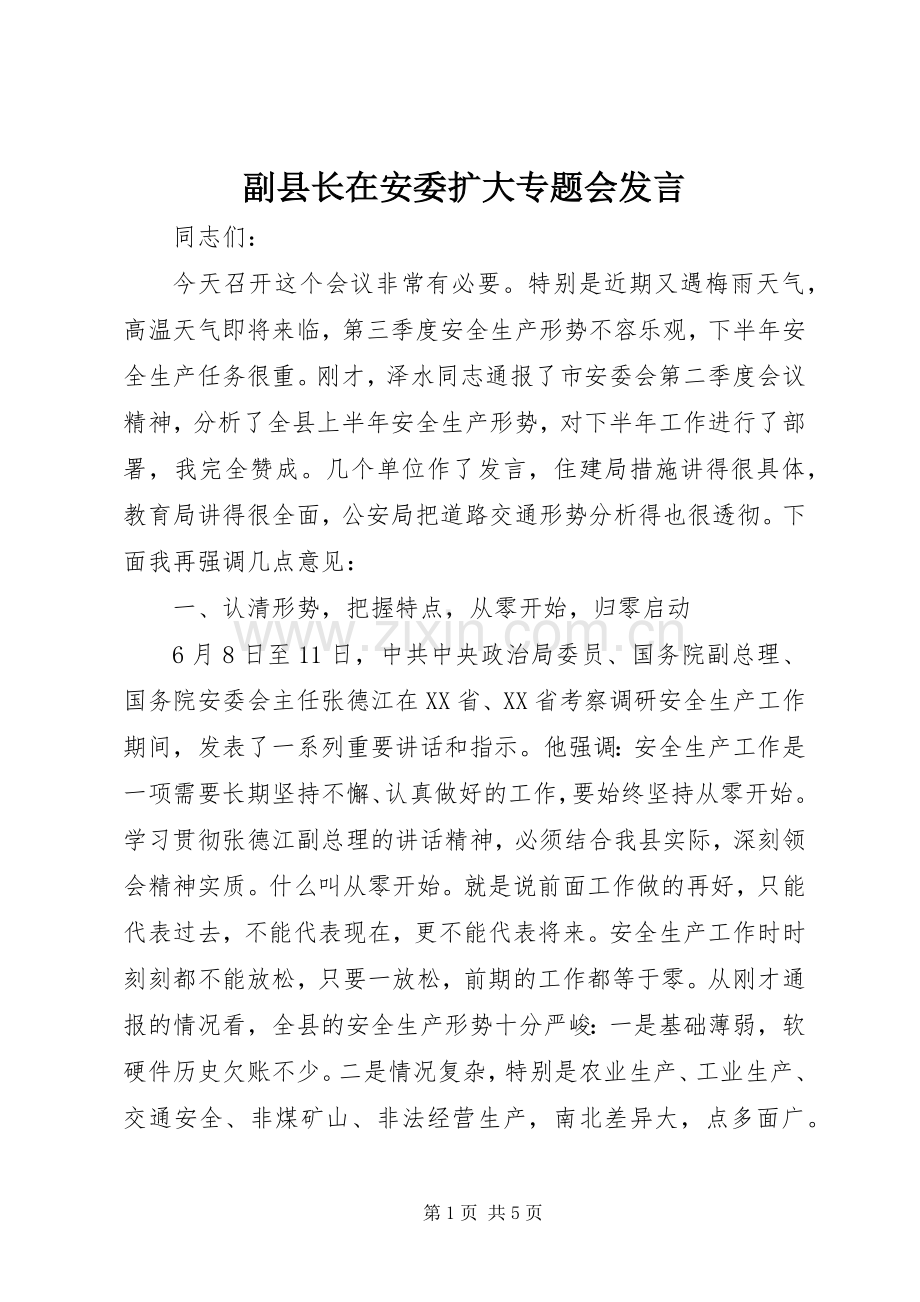 副县长在安委扩大专题会发言稿.docx_第1页