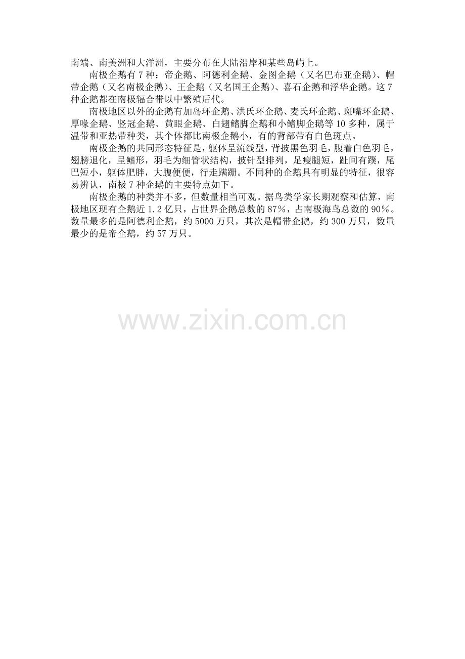 南极的主人企鹅.doc_第2页