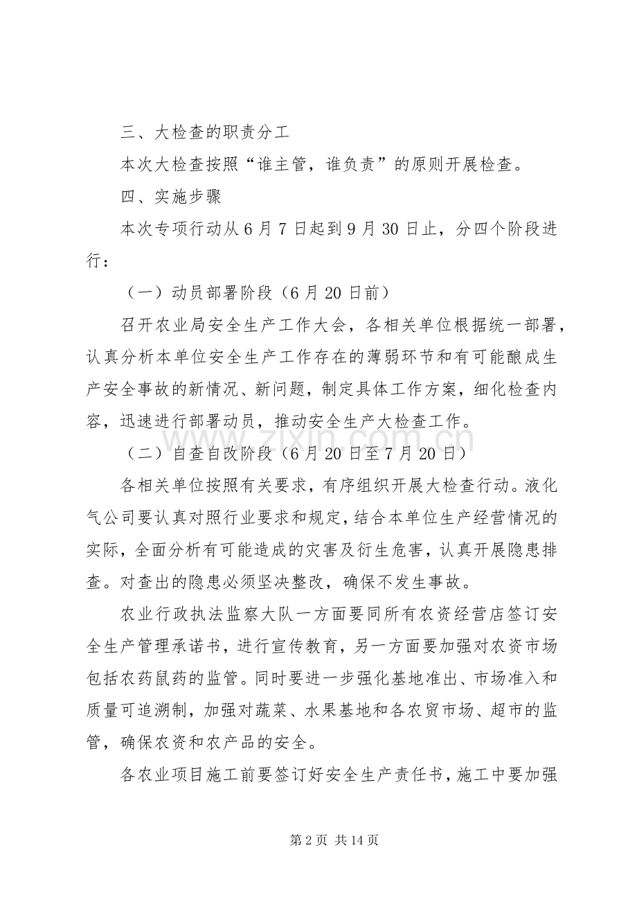 农业局安全生产大检查实施方案3篇.docx_第2页