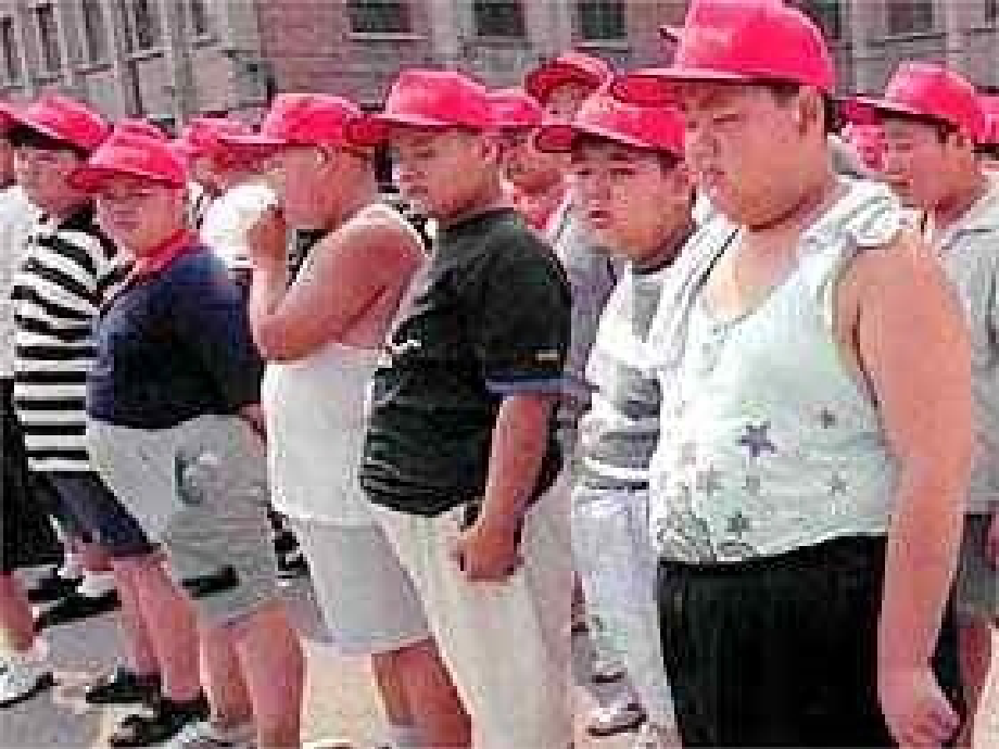 七年级生物上册 第3章第3节合理的膳食课件 苏科版 课件.ppt_第2页