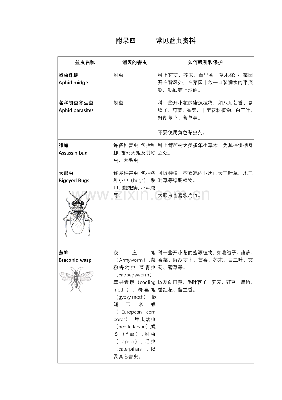 【菜园里的学问】常见益虫资料.doc_第1页